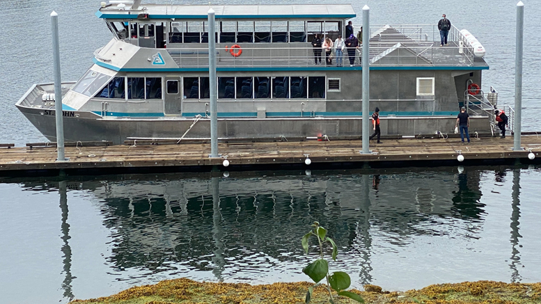 Catamaran, Tours, Ketchikan