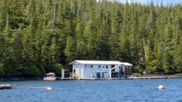 Hump Island, Oyster Farm, Bonfire Bay Tour Company, Tour, Bonfire Bay, Ketchikan, Alaska, Shore Excursion