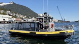 Ketchikan, Wildlife, Tour, Shore Ex, Excursion